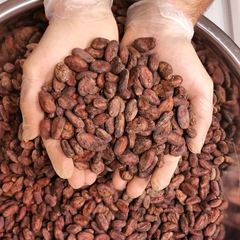 Satılık kakao çekirdekleri, yakınımdaki satılık kakao çekirdekleri, avustralya satılık kakao çekirdekleri, İngiltere satılık kakao çekirdekleri, satılık ve ihracat kakao çekirdekleri, abd satılık kakao çekirdekleri, avustralya satılık kakao çekirdekleri, satılık taze kakao çekirdekleri, kakao çekirdeği satılık çiftlik, hindistan'da kakao çekirdeği satın alın, kakao çekirdekleri çevrimiçi satın alın, kakao çekirdekleri çevrimiçi hindistan satın alın, satılık organik kakao çekirdekleri, satılık ham kakao çekirdekleri, satın almak için kakao çekirdekleri,