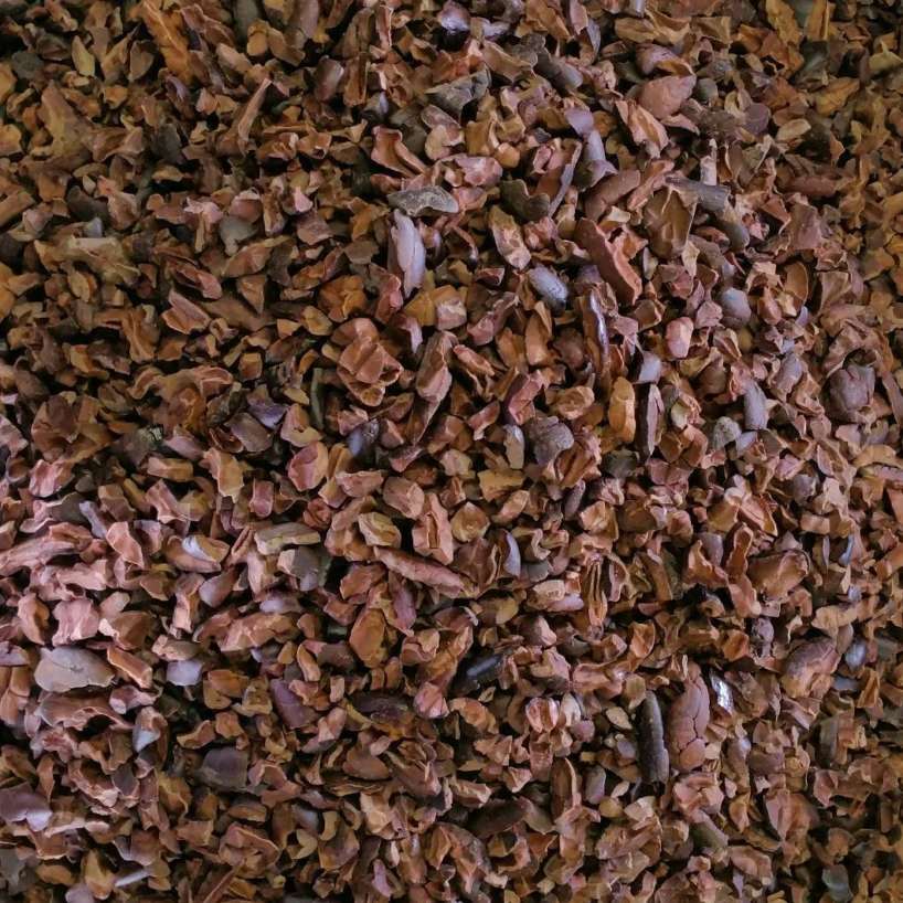 Fèves de cacao à vendre, fèves de cacao à vendre près de chez moi, fèves de cacao à vendre australie, fèves de cacao à vendre au royaume-uni, fèves de cacao à vendre et à exporter, fèves de cacao à vendre aux états-unis, fèves de cacao acheter australie, fèves de cacao fraîches à vendre, fève de cacao ferme à vendre, fèves de cacao acheter en Inde, fèves de cacao acheter en ligne, fèves de cacao acheter en ligne en Inde, fèves de cacao biologiques à vendre, fèves de cacao crues à vendre, fèves de cacao à acheter,