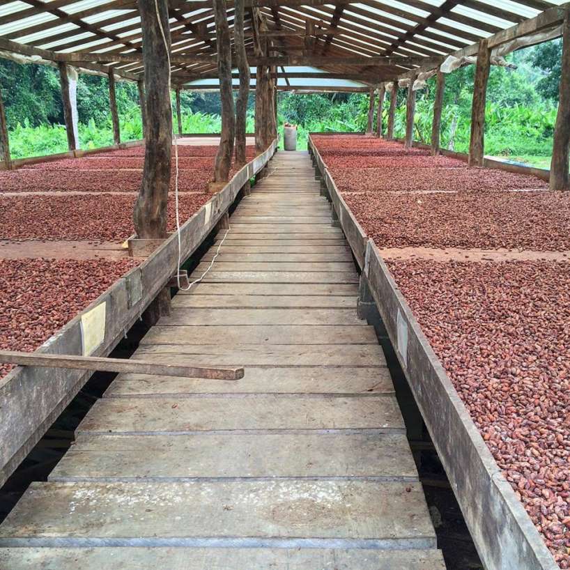 Granos de cacao a la venta, granos de cacao a la venta cerca de mí, granos de cacao a la venta en Australia, granos de cacao a la venta en el Reino Unido, granos de cacao a la venta y exportación, granos de cacao a la venta en EE. UU., granos de cacao a la venta en Australia, granos de cacao frescos a la venta, grano de cacao Granja a la venta, compra de granos de cacao en la India, compra de granos de cacao en línea, compra de granos de cacao en línea India, venta de granos de cacao orgánicos, venta de granos de cacao crudos, venta de granos de cacao,