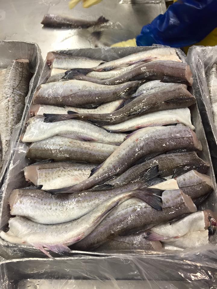 Gefrorener Pollock-Fisch | Kaufen Sie gefrorenen Seelachs online