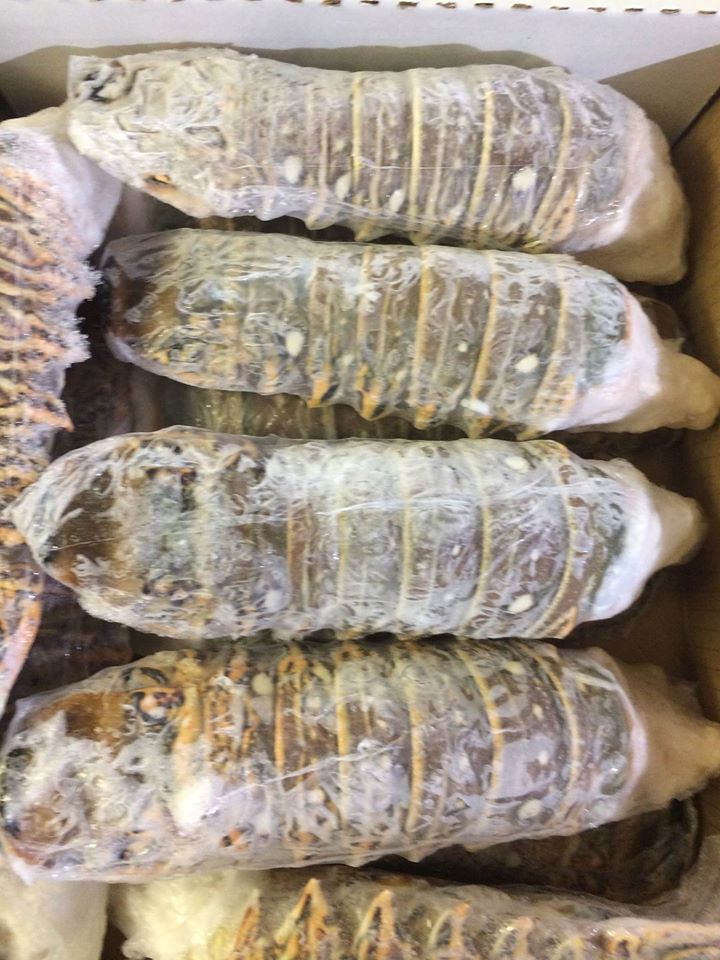 Queues de homard congelées | Acheter Homard congelé | Vente en gros de queues de homard congelées