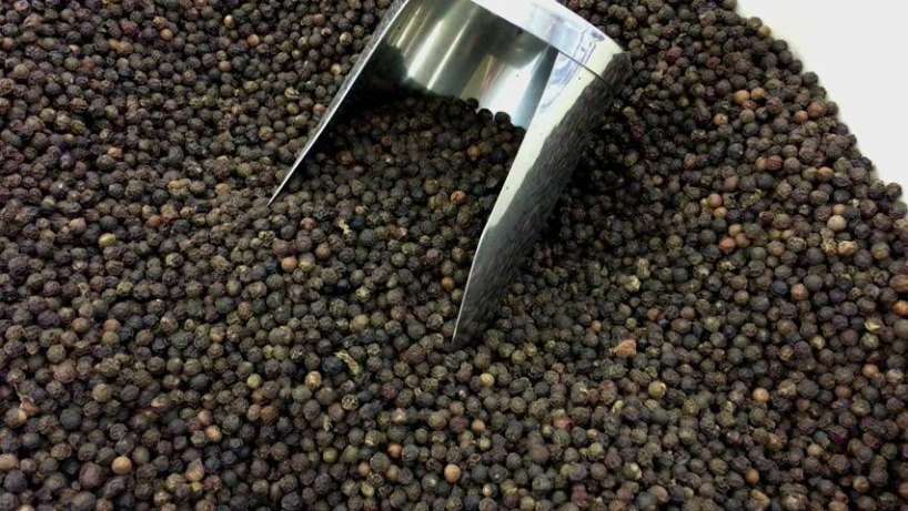 Black and white pepper wholesale | Buy black pepper online wholesales