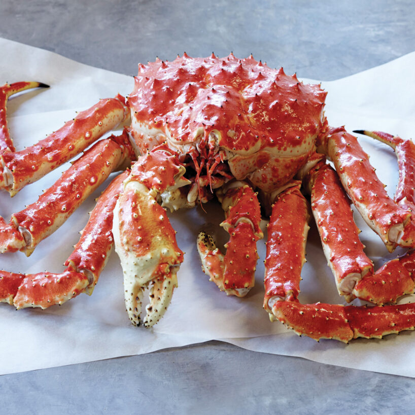 Crabe royal rouge d'Alaska entier